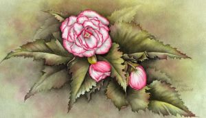 Angel Wing Begonia Watercolor